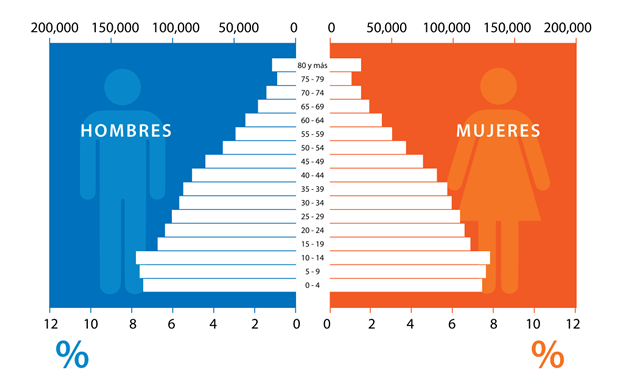 piramide_poblacion_censo_2010[1]